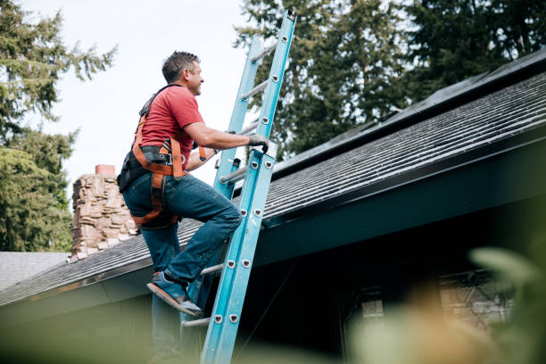 Roof Restoration in Dover, AR